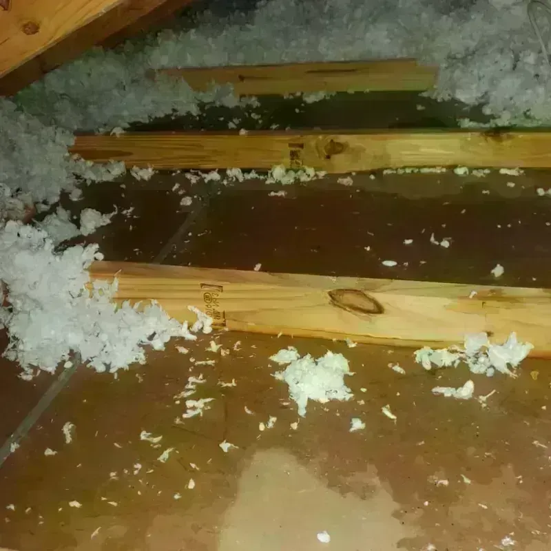 Attic Water Damage in Poultney, VT